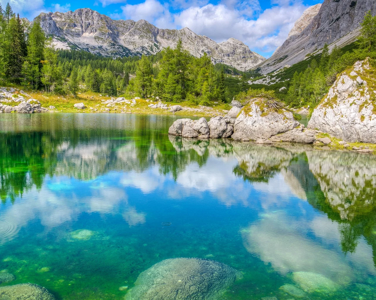 Словения, Triglav National Park, горы, лес, озеро, камни, деревья