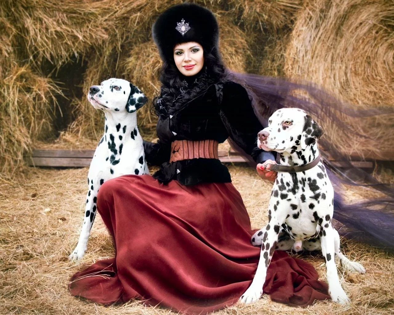 сено, костюм, юбка, собаки