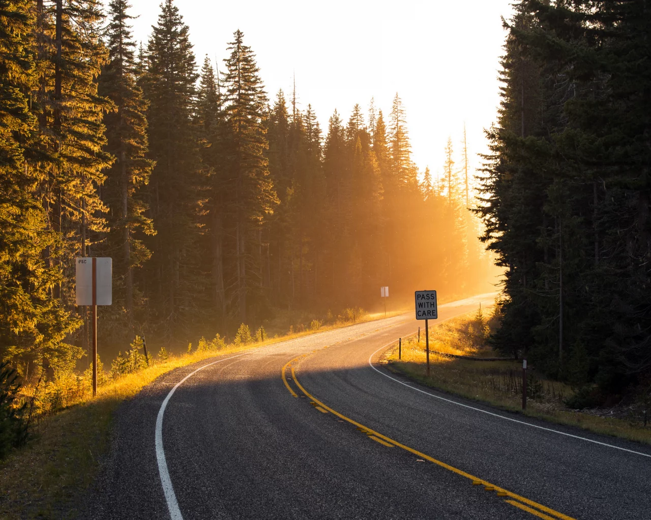 свет, дорога, навстречу, поворот, лучи, солнце, лес, road