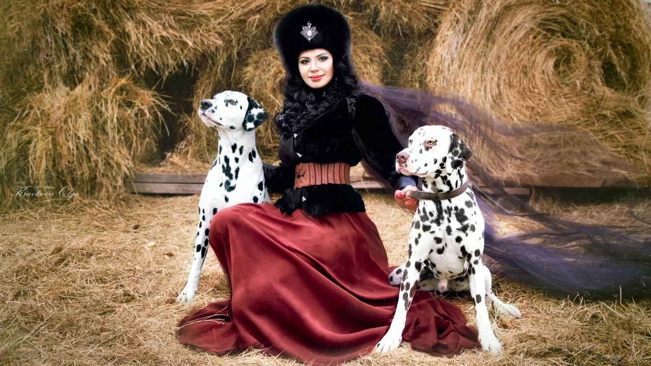 сено, костюм, юбка, собаки