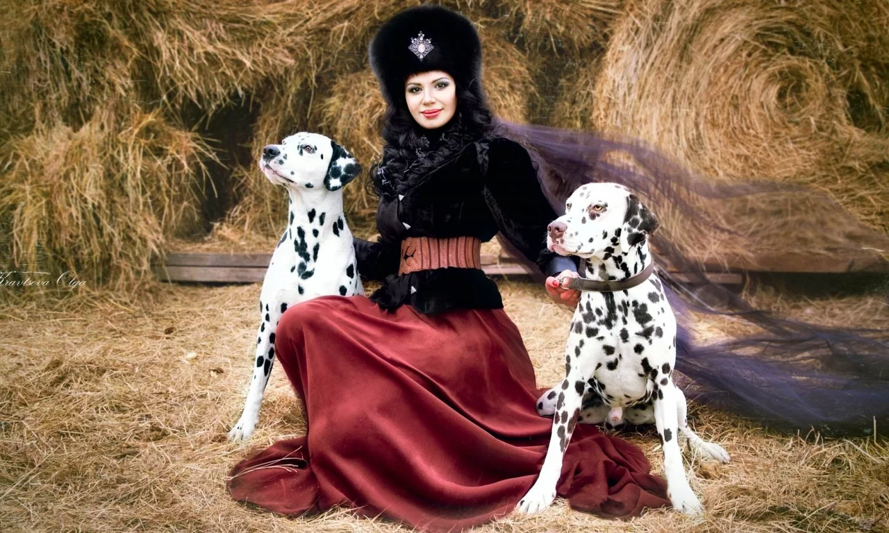 сено, костюм, юбка, собаки