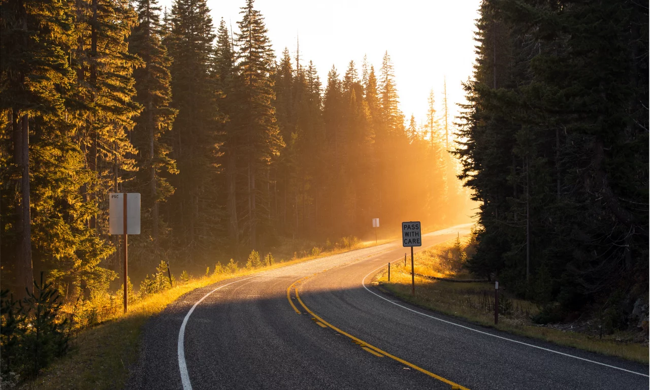 свет, дорога, навстречу, поворот, лучи, солнце, лес, road