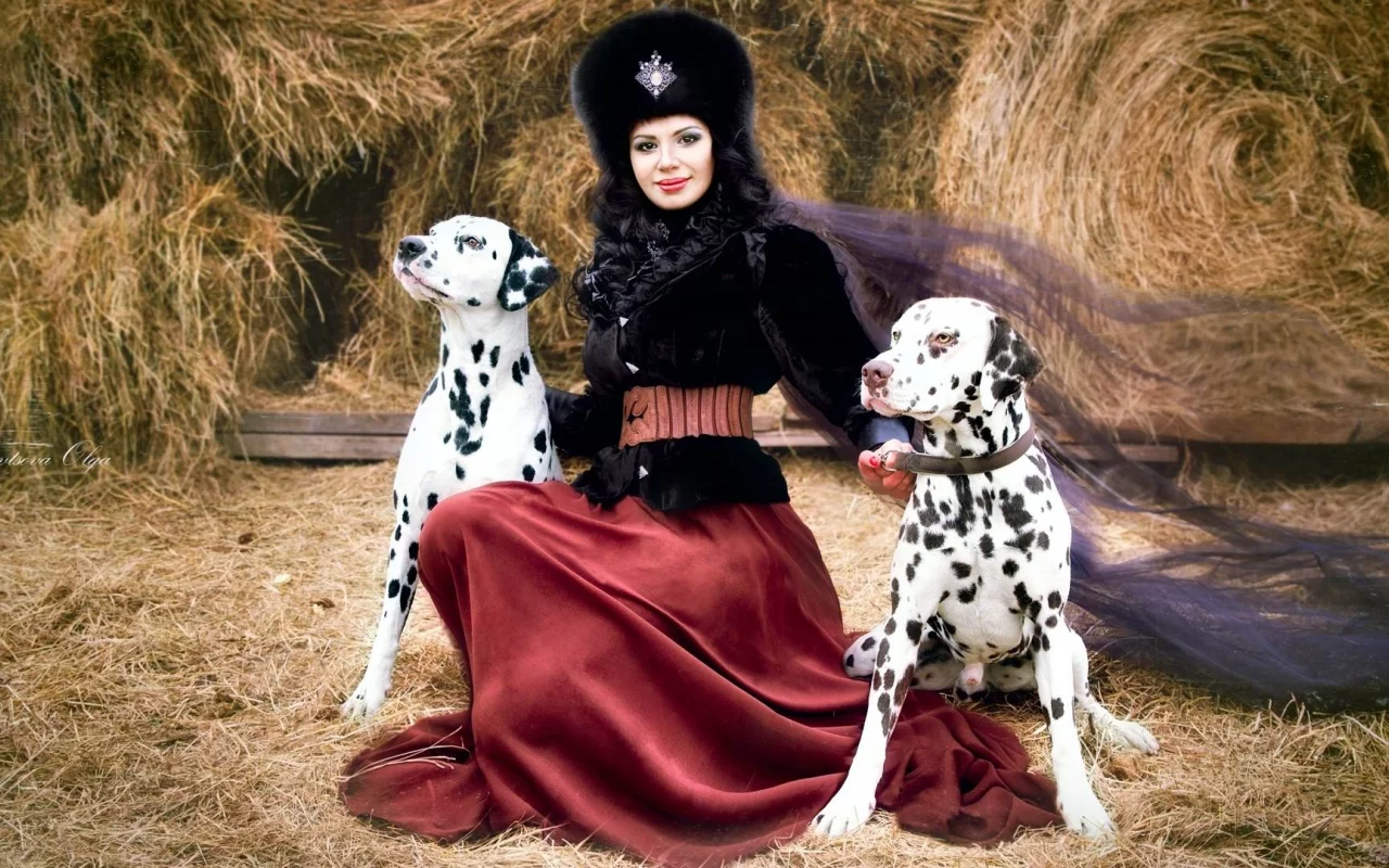 сено, костюм, юбка, собаки