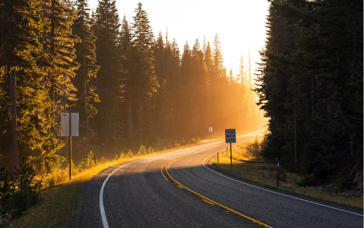свет, дорога, навстречу, поворот, лучи, солнце, лес, road