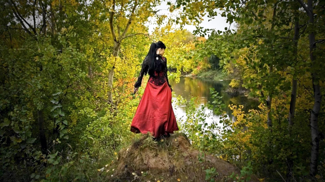 лес, кочка, вода