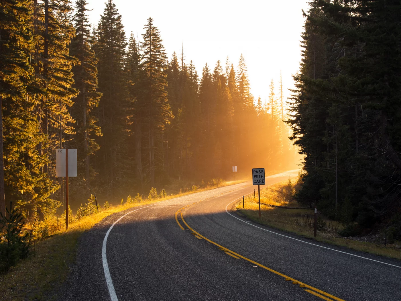 свет, дорога, навстречу, поворот, лучи, солнце, лес, road