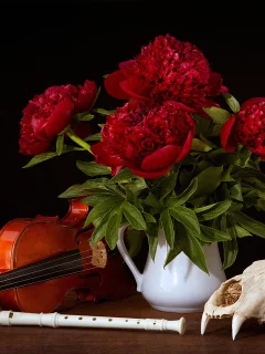 Фон черный, цветы, пионы, скрипка, арт.