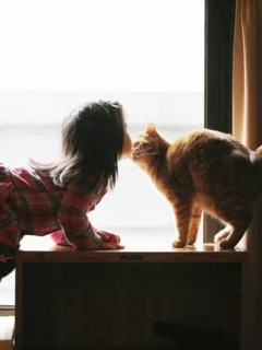девочка, кошка, привет, подружка