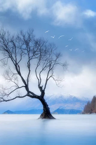 пейзаж, горы, небо, дерево, природа, птицы, облака