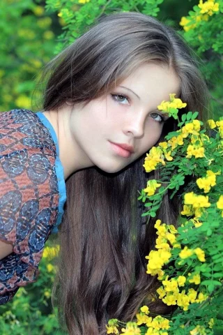 кустарник, цветы