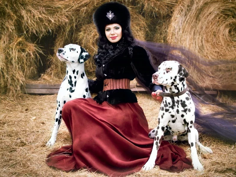 сено, костюм, юбка, собаки