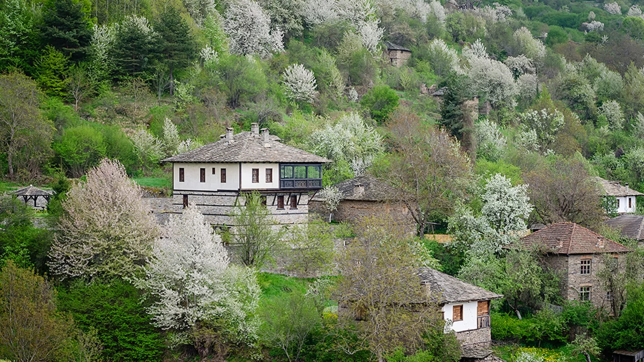 Ковачевица, Родопи, Болгария, деревья, лес, природа, пейзаж, весна