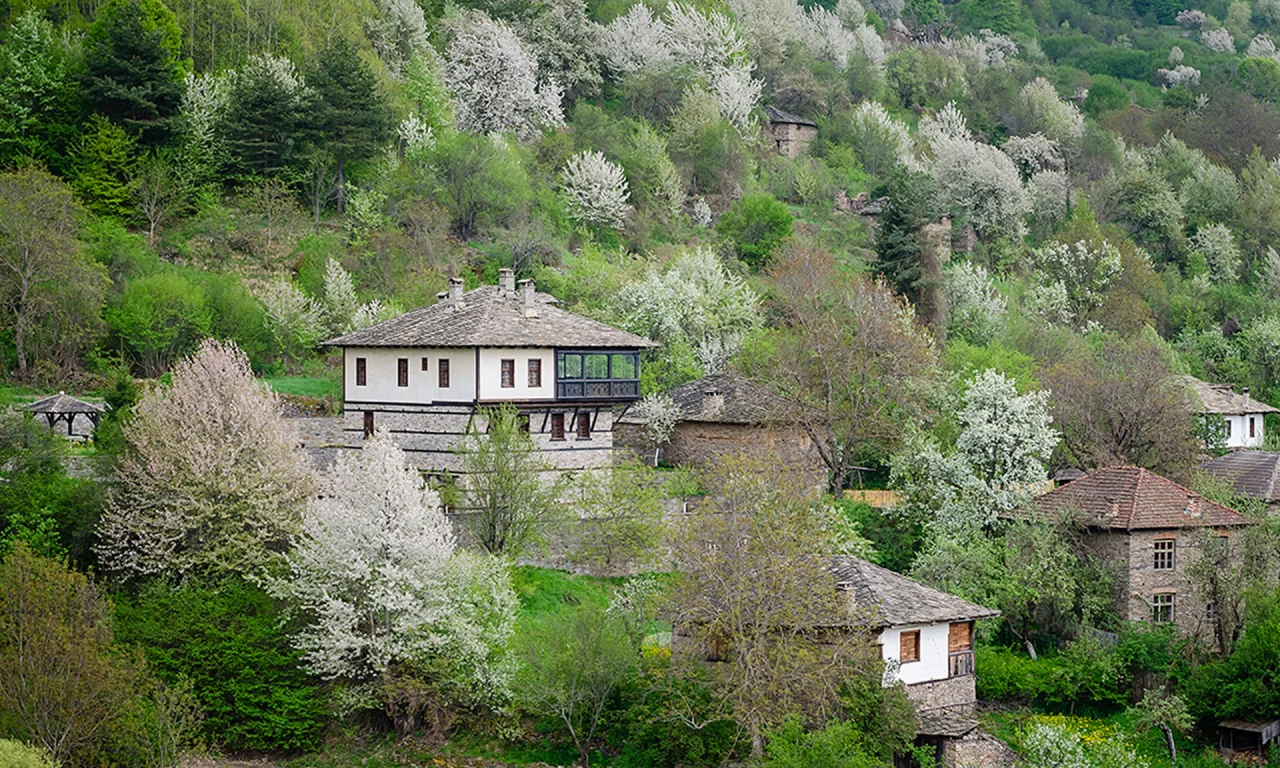 Ковачевица, Родопи, Болгария, деревья, лес, природа, пейзаж, весна