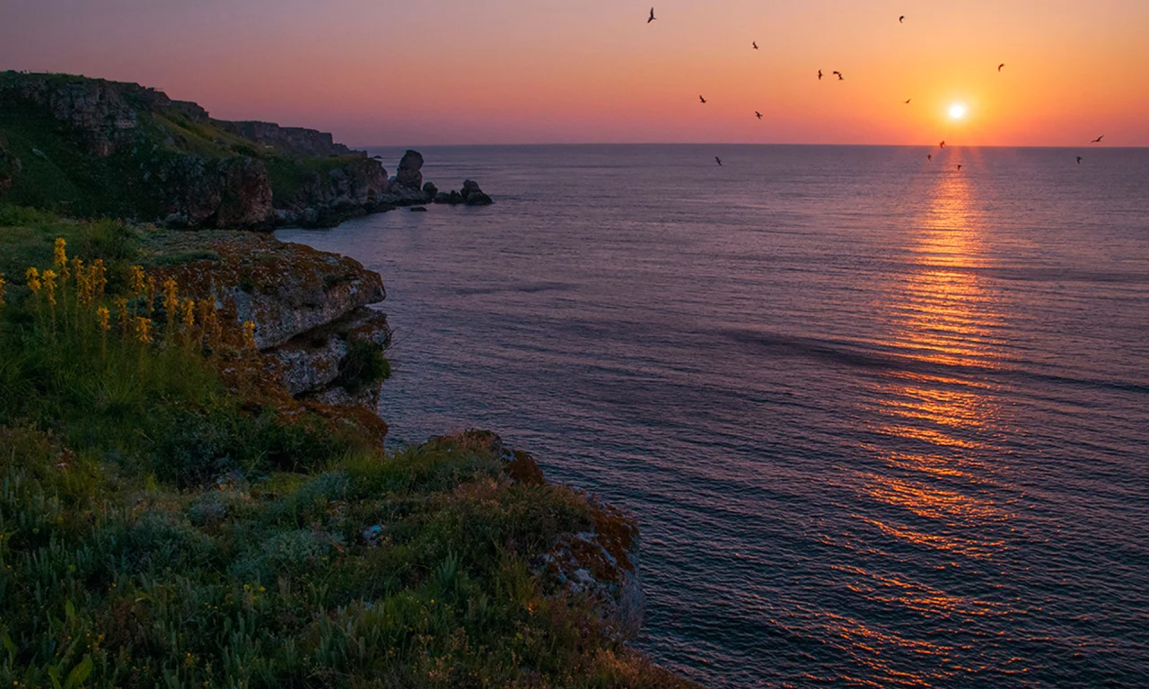 Болгария, Чёрное море, небо, море, берег, природа, пейзаж, солнце, восход, чайки