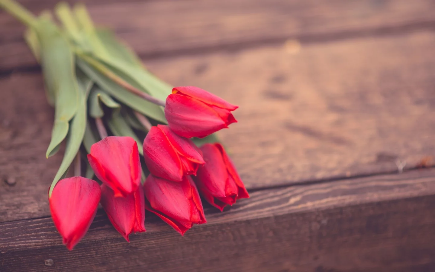 цветы, розы, фон, цветочки, обои, розовые, rose, flower
