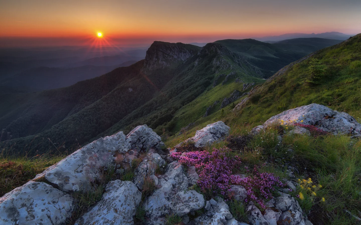 Стара планина, Балканские горы, Болгария, горы, деревья, лес, цветы, небо, облака, солнце, восход, природа, пейзаж, скалы