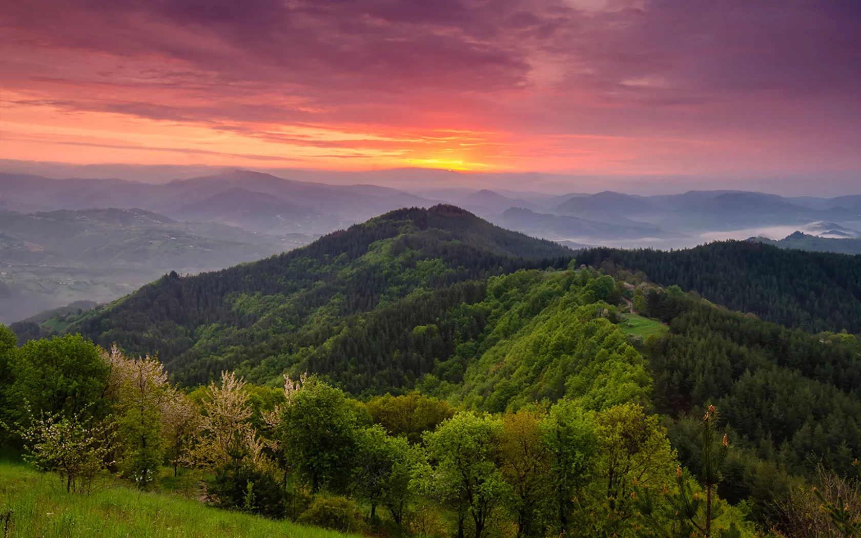 Родопи, Болгария, горы, деревья, лес, небо, природа, пейзаж, туманы, восход, весна