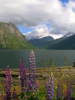 природа, вода, море