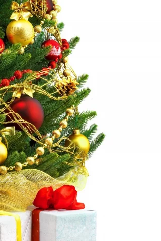 праздник, chritmas, елочка, new year, новый год, елка, ель