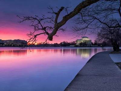 evening, lights, river, sunset, usa, sky, trees, park, purple, сша, blue, washington