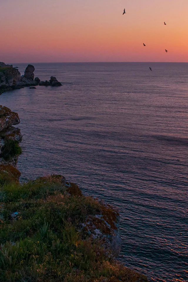 Болгария, Чёрное море, небо, море, берег, природа, пейзаж, солнце, восход, чайки