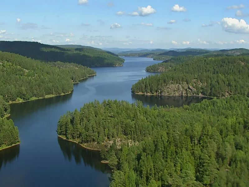 природа, река, лес