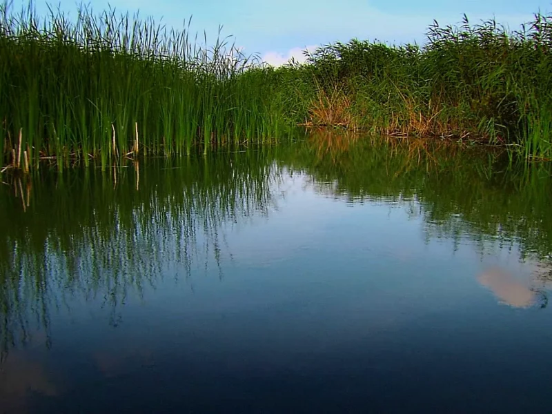 природа, вода
