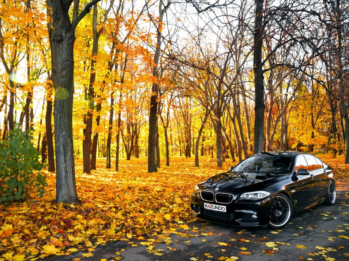 черная, 550x, осень, f10, autumn, bmw, листья, бмв