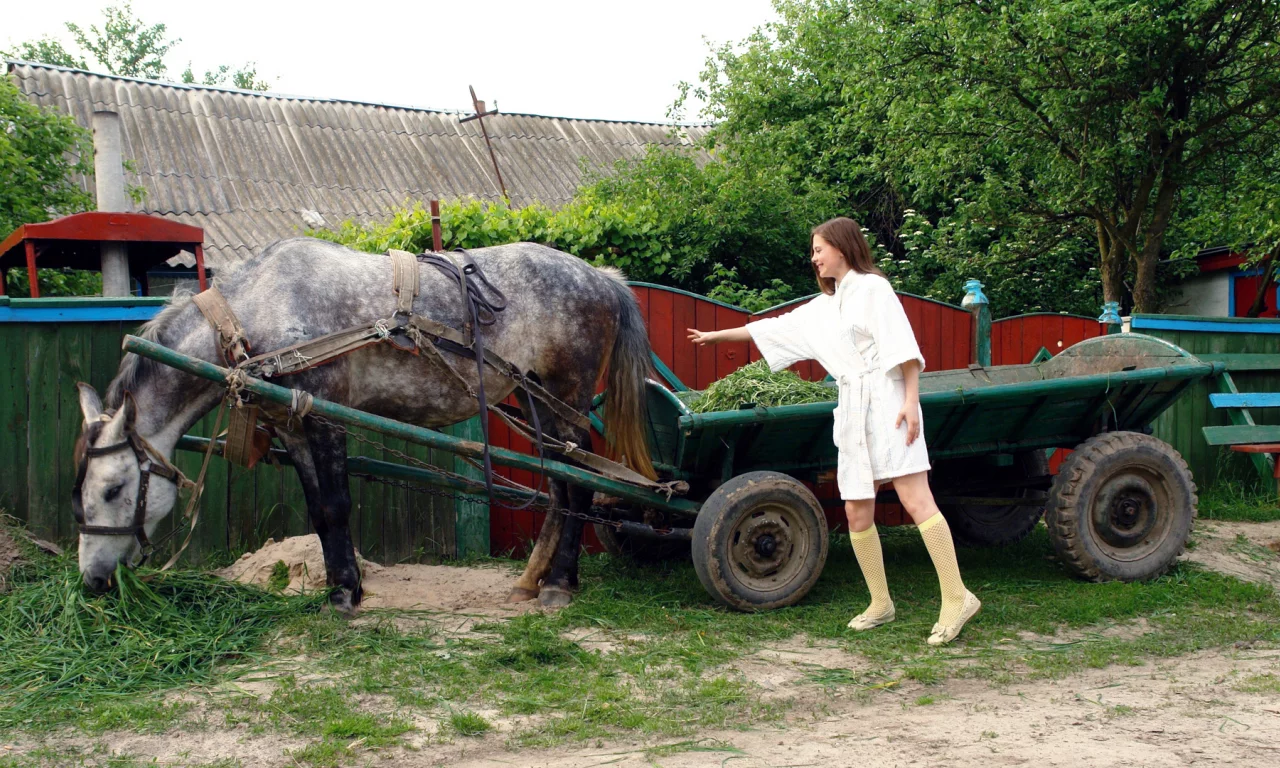 улица, лошадь, девушка