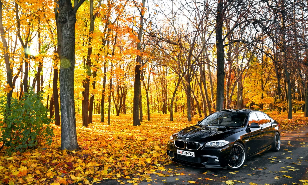 черная, 550x, осень, f10, autumn, bmw, листья, бмв