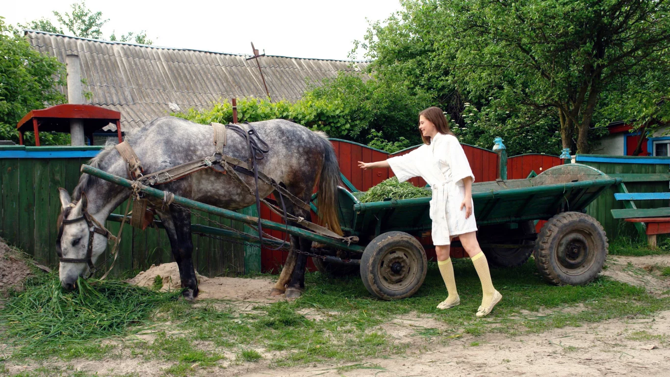 улица, лошадь, девушка