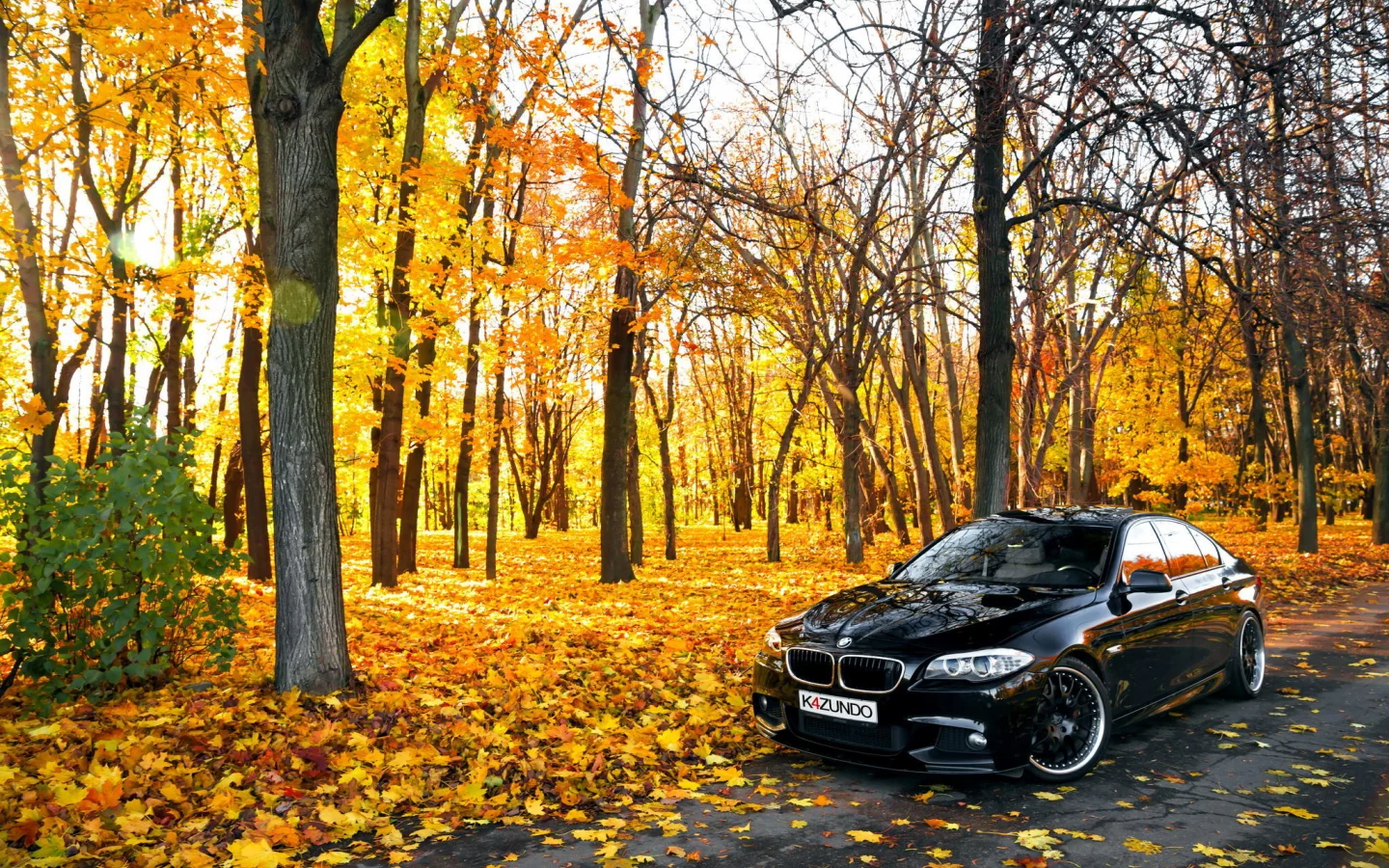 черная, 550x, осень, f10, autumn, bmw, листья, бмв