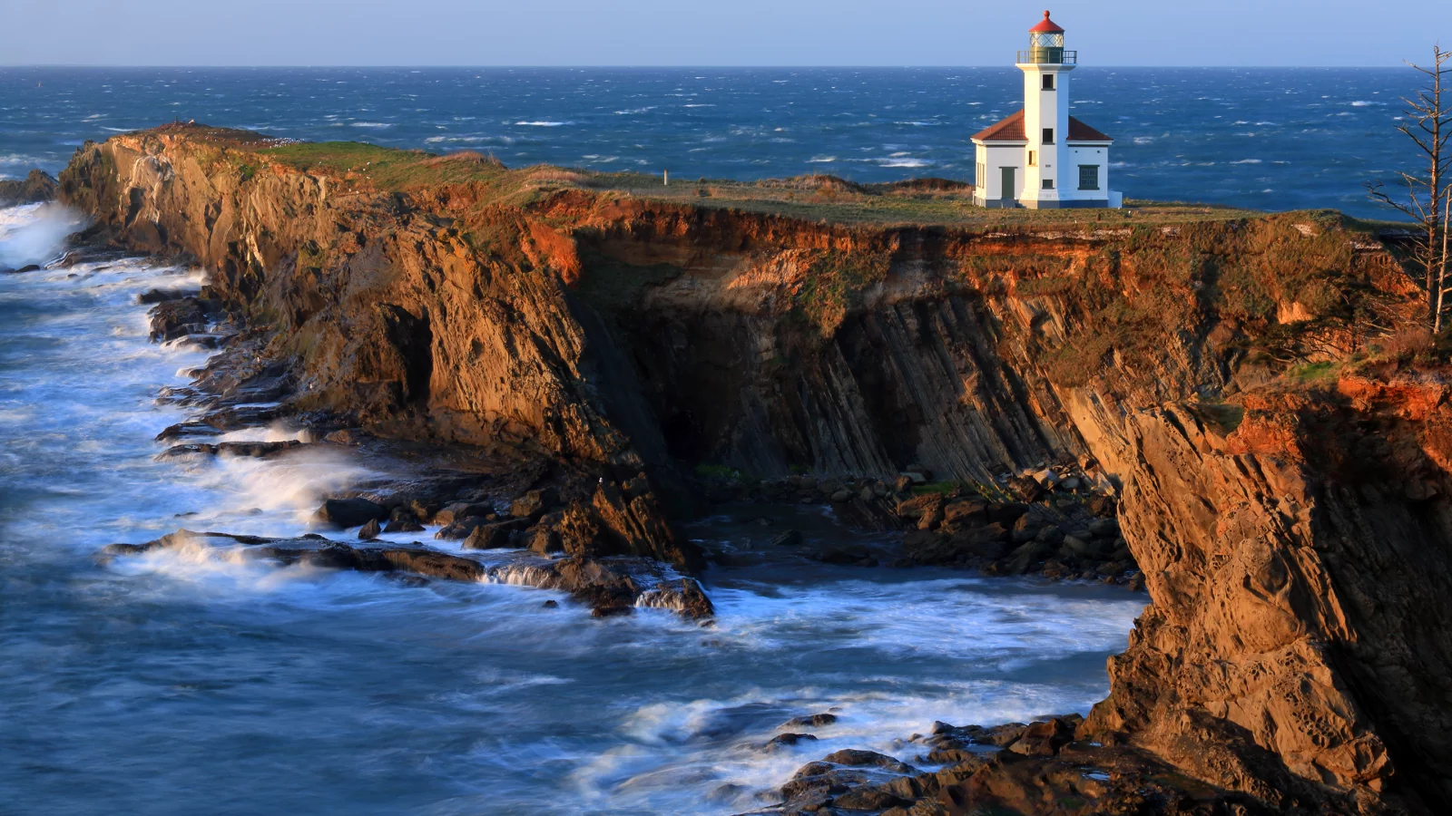 маяк, cape arago lighthouse, побережье, тихий океан, скалы