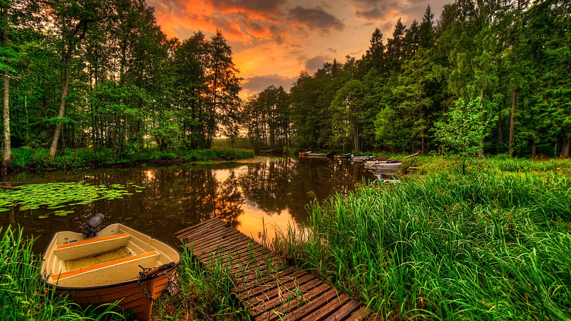 природа, река, залив, рыбалка, отдых, красиво, лодка, лето, лес