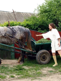 улица, лошадь, девушка