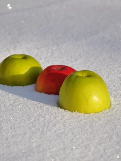 солнце, красное, еда, зеленое, яблоки, яблоко, тень