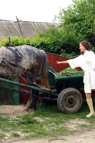улица, лошадь, девушка