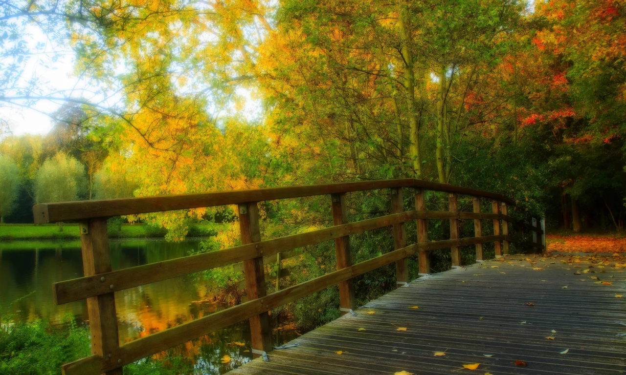 alley, walk, bridge, forest, trees, nature, park, hdr, autumn, river, water, leaves, view, fall