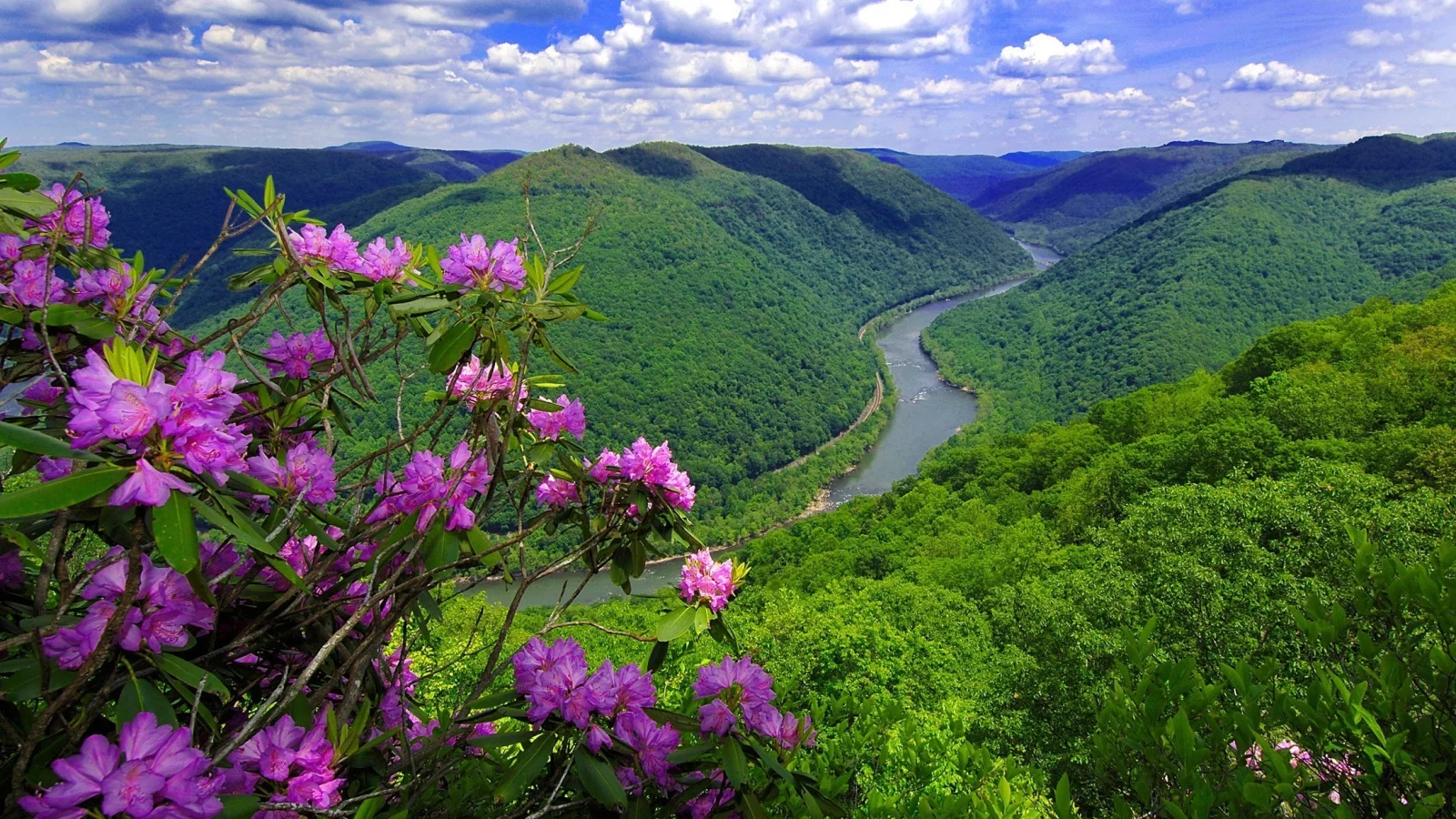 река, цветы, горы, природа