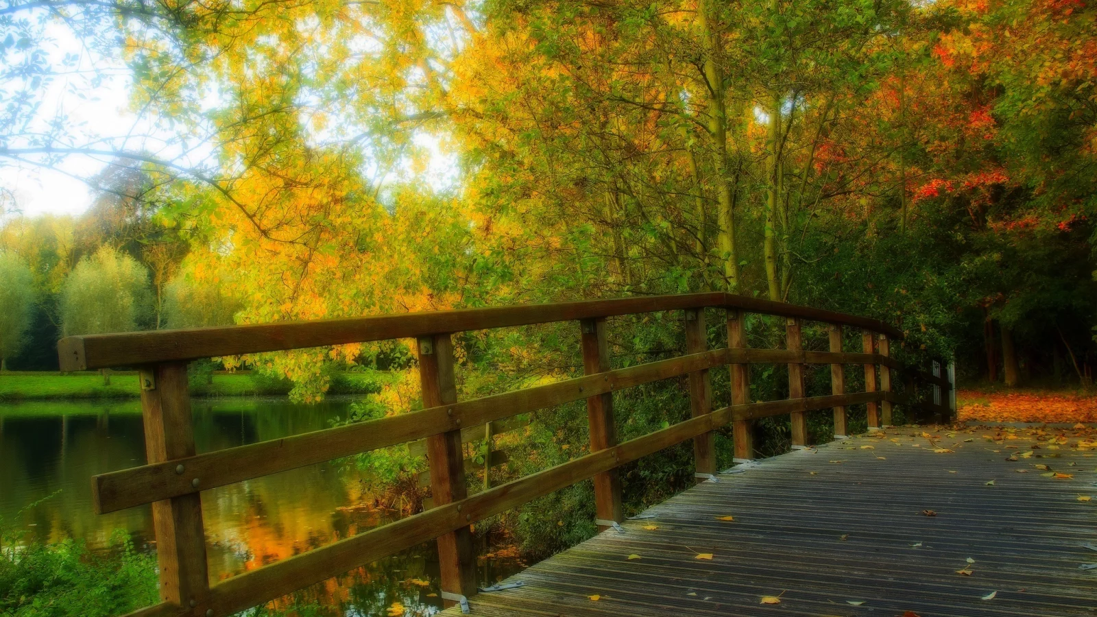 alley, walk, bridge, forest, trees, nature, park, hdr, autumn, river, water, leaves, view, fall