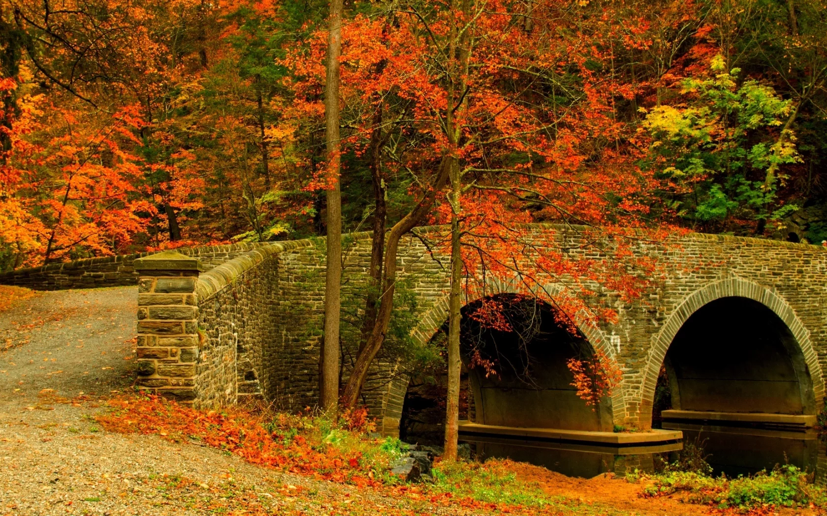 fall, path, autumn, leaves, trees, road, colors, park, forest, bridge, colorful, walk, nature