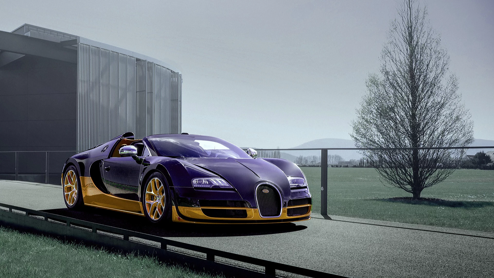 Дорога, трава, дерево, авто, Bugatti
