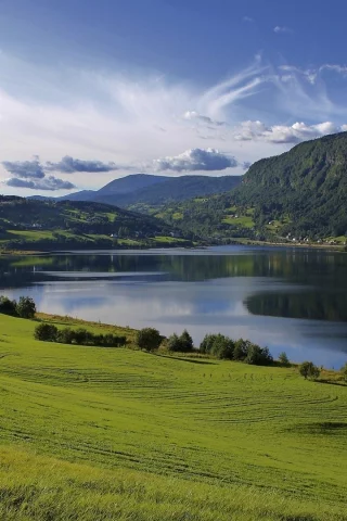 природа, трава, деревья, вода, река, облока