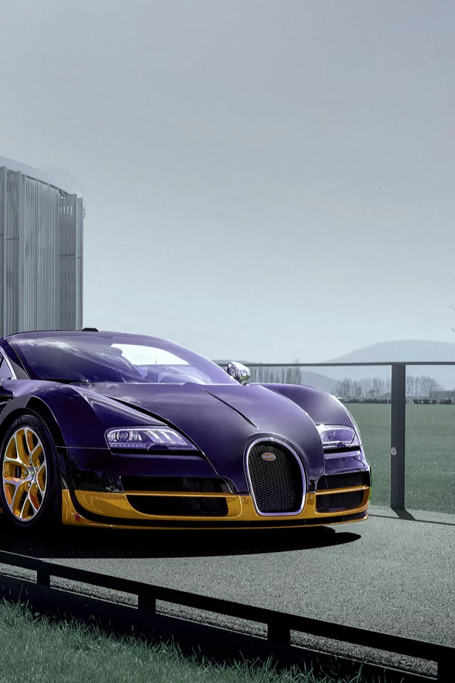 Дорога, трава, дерево, авто, Bugatti
