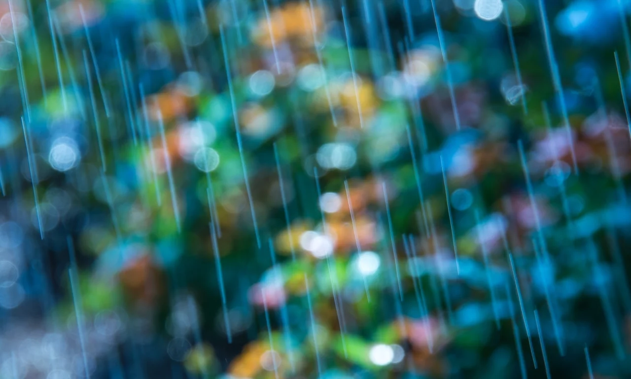 размытие, цветы, боке, цветное, голубой, макро, bokeh