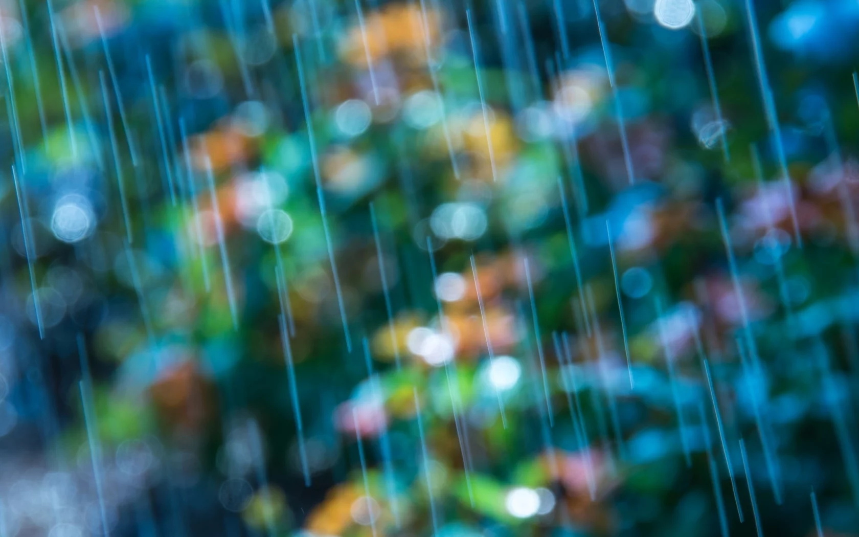 размытие, цветы, боке, цветное, голубой, макро, bokeh