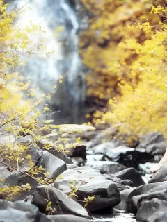 девушка, осень, камни