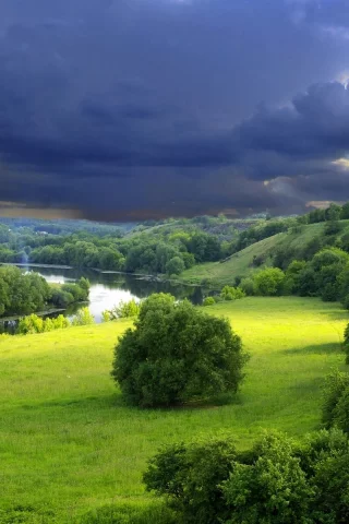 природа, кусты, лето, река, зелень