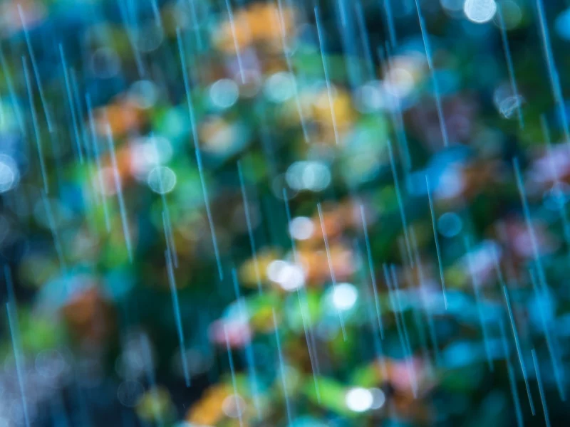 размытие, цветы, боке, цветное, голубой, макро, bokeh