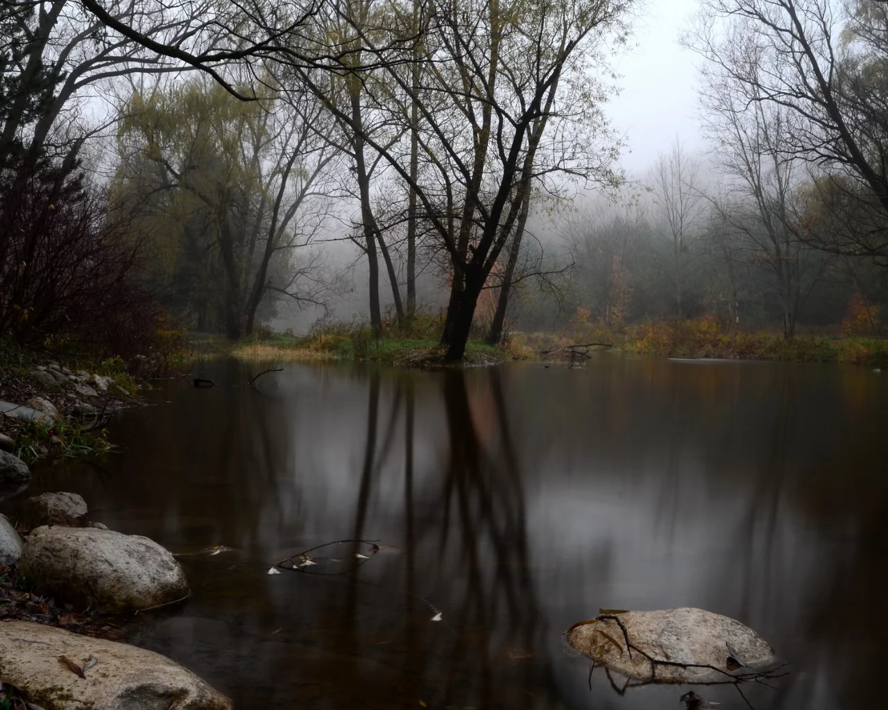 туман, лес, озеро, камни, осень